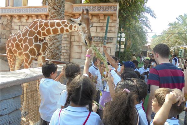 Gr 4 trip to Abu Dhabi kids  park